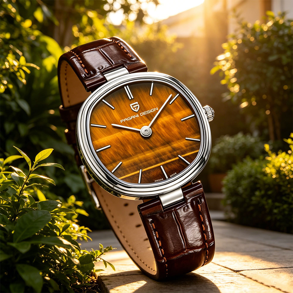 PAGANI DESIGN 2026 New Quartz  - Anti-Magnetic Watch 评论和价格