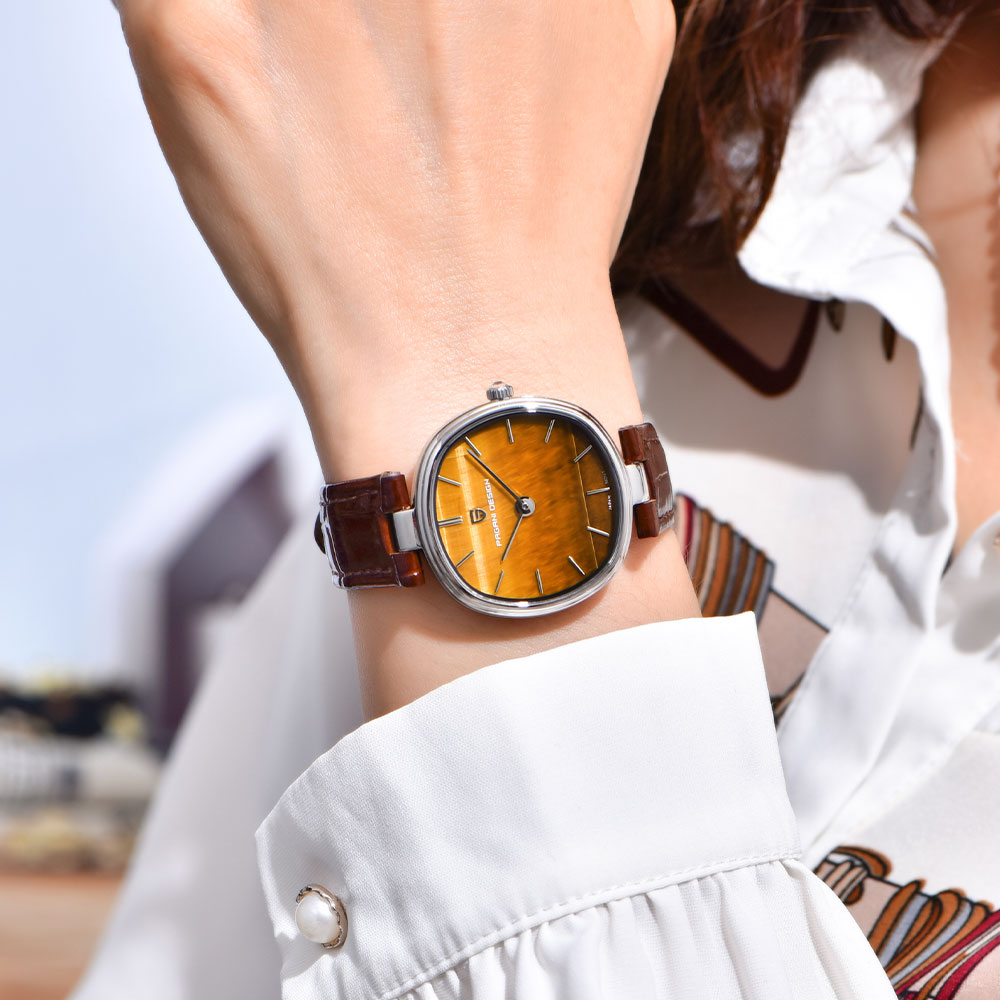PAGANI DESIGN 2026 New Quartz  - Anti-Magnetic Watch 评论和价格