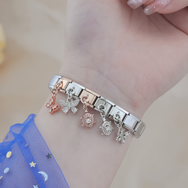 Hapiship 2024 New Women Tortoi - Bracelet Link Remover 评论和价格