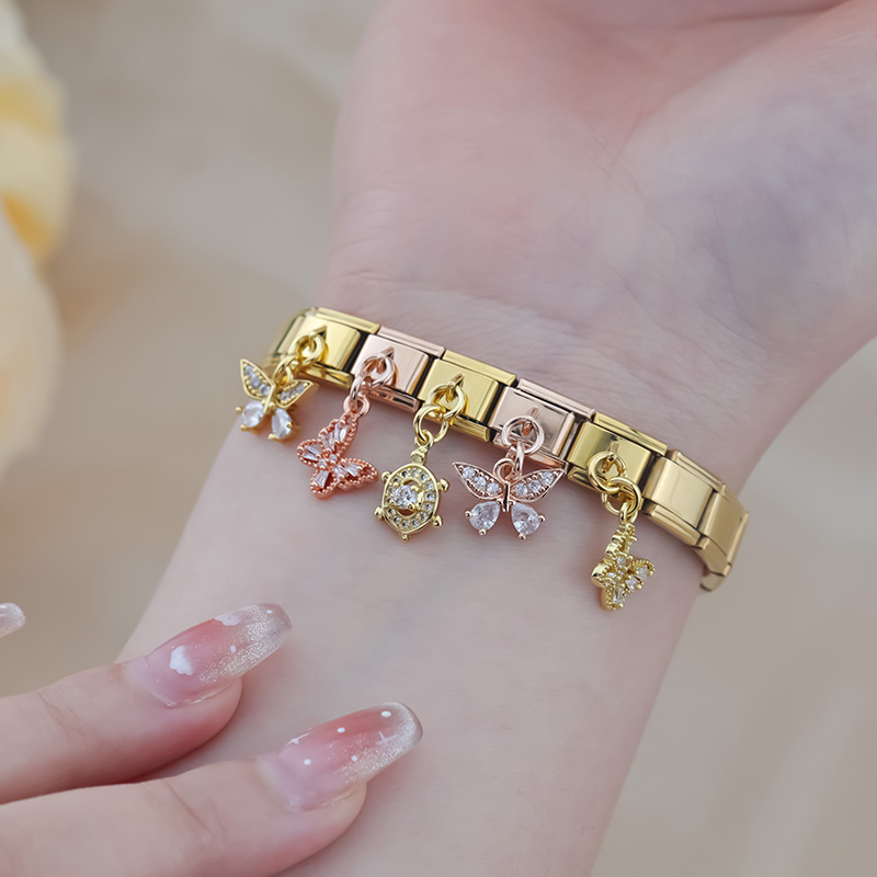Hapiship 2024 New Women Tortoi - Bracelet Link Remover 评论和价格